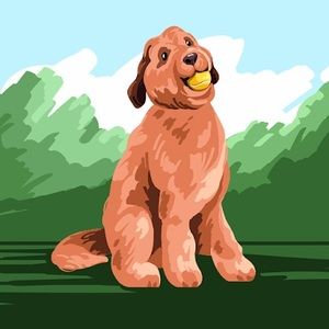 Meet your Posher, Guadalupe